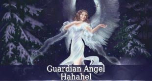 Guardian Angel Hahahel