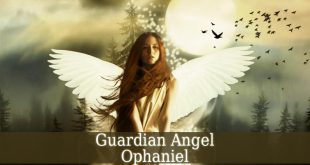Guardian Angel Ophaniel